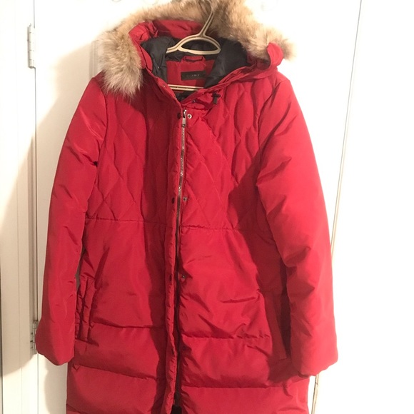 Darnier coat - Picture 1 of 1